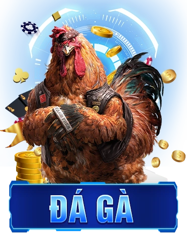 đa gà 888p